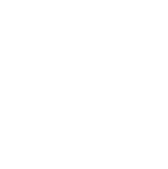 VP Performance, reprogrammation moteur en France